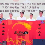 乡村振兴娱乐,娱乐产业助力乡村活力焕发